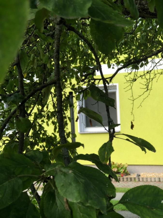 Dirks Schmuckstuck Villa Weisswasser Exteriör bild