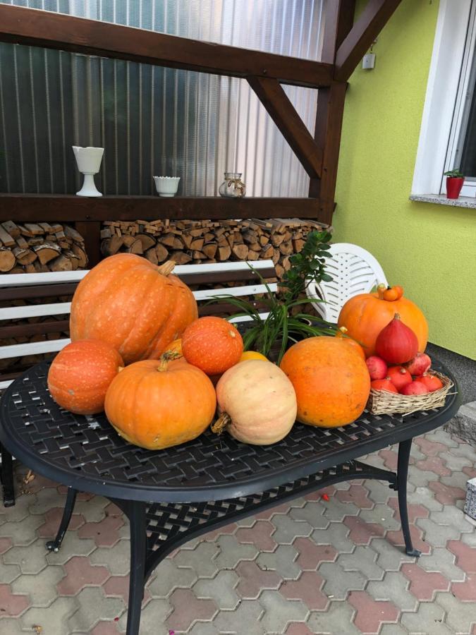Dirks Schmuckstuck Villa Weisswasser Exteriör bild