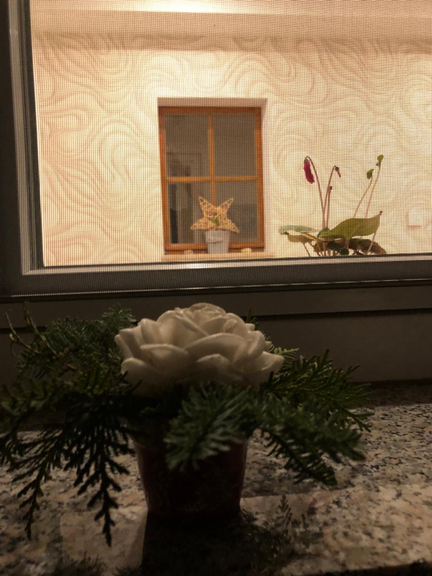 Dirks Schmuckstuck Villa Weisswasser Exteriör bild